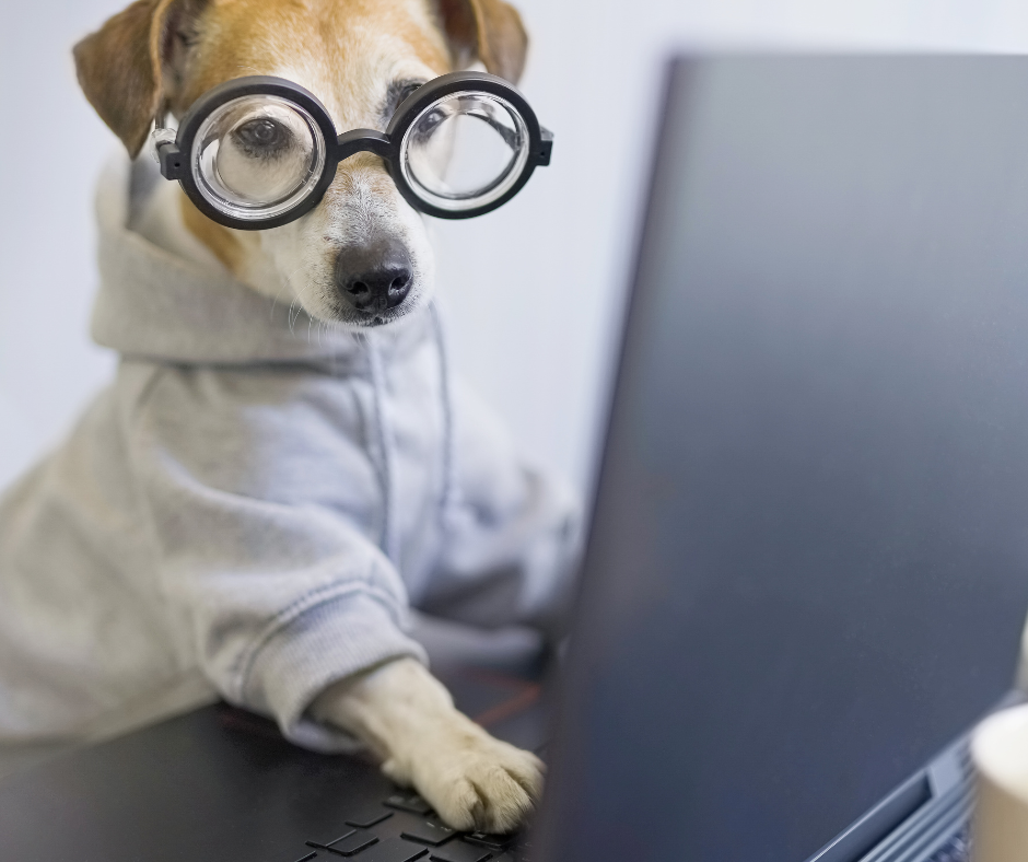 Cats & dogs can’t do apprenticeships